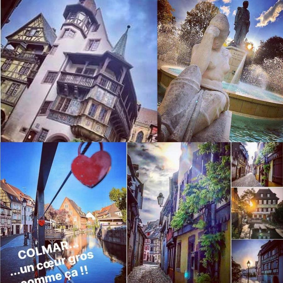 Le 1 " Gites Tout Confort A Colmar Centre" Екстериор снимка
